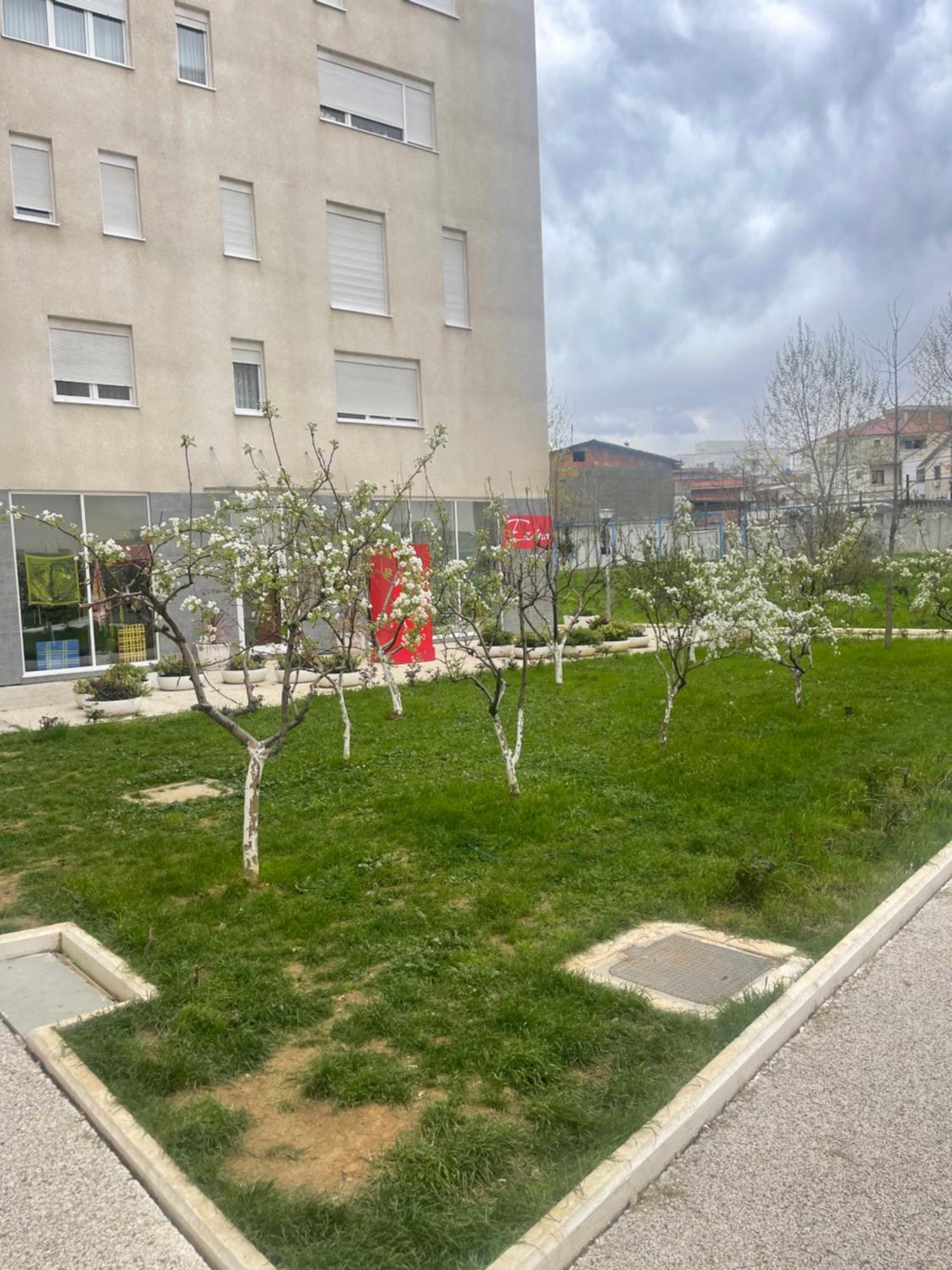 Amel Apartment Tirana
